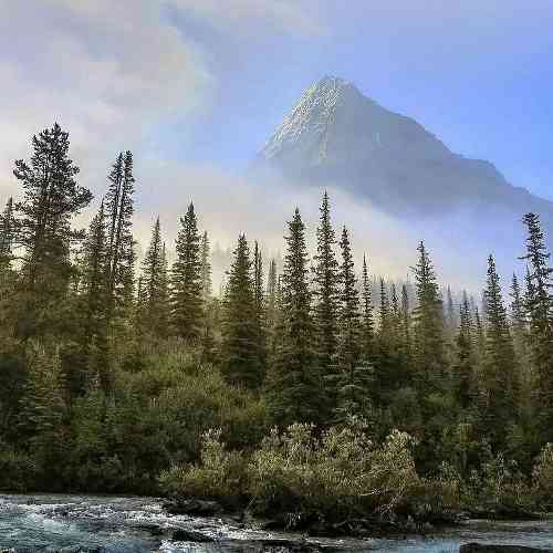  جون تو جون تو خاکیم ولی اعتماد به نفس زیادی بالاست